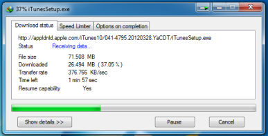 When tested in Internet Download Manager